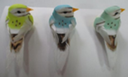 Foam & Feather Birds, 8cm (720 pcs/ctn)