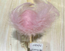 Feathers on a Stick, 3.5x5.5cm (360 pcs/ctn)