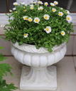 Metal Vintage Flower Pot, 31x31x29cm (1 pc/ctn)