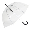 23" Straight Auto Open Umbrella, Black Handle (48 pcs/ctn)