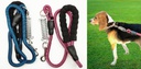 3.94' Polypropylene Dog Leash (250 pcs/ctn)